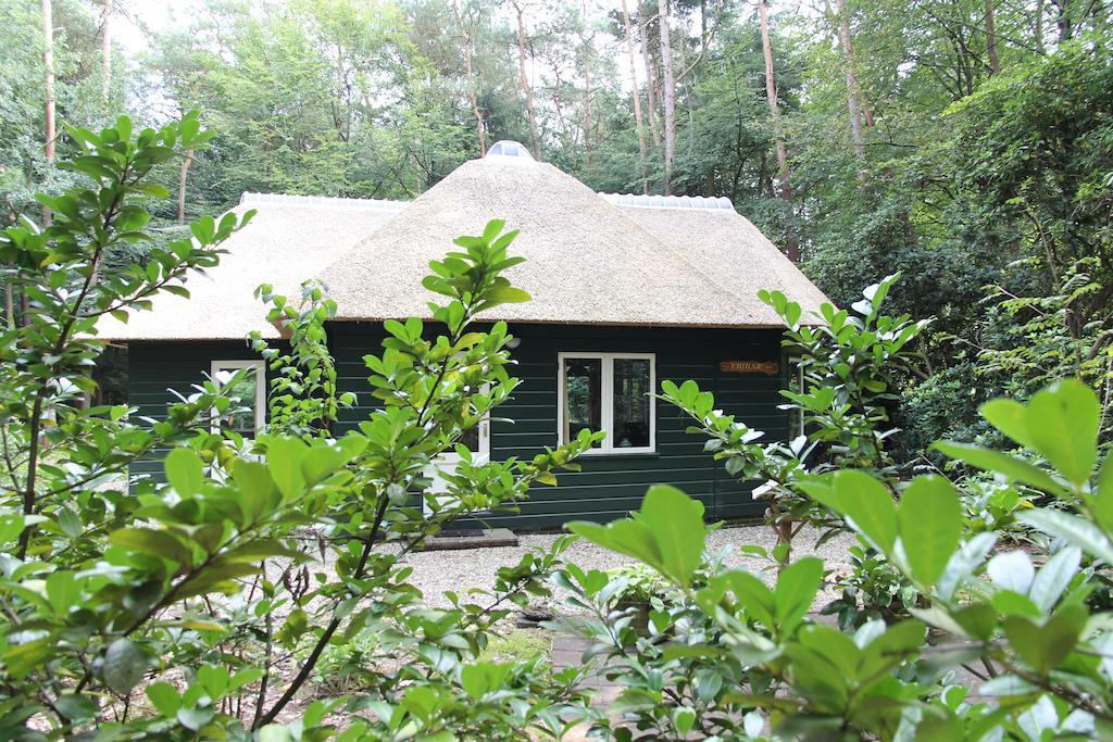 Vakantiehuis 'T Musje Epe Phòng bức ảnh
