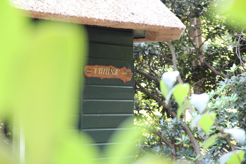 Vakantiehuis 'T Musje Epe Ngoại thất bức ảnh